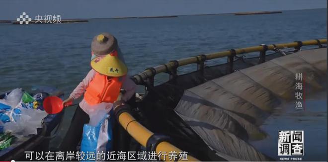 央視《新聞?wù){(diào)查》重磅聚焦，湛江水產(chǎn)養(yǎng)殖“游”向深遠(yuǎn)海