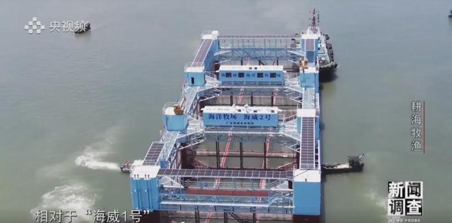 央視《新聞?wù){(diào)查》重磅聚焦，湛江水產(chǎn)養(yǎng)殖“游”向深遠(yuǎn)海