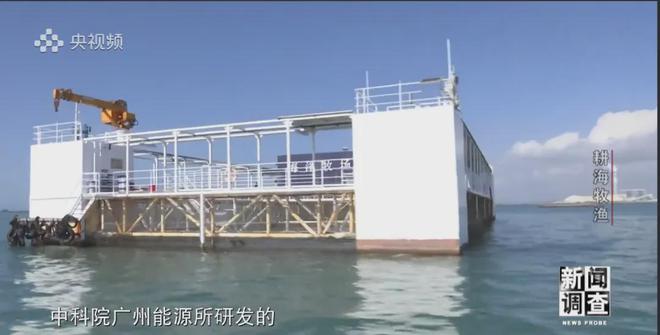 央視《新聞?wù){(diào)查》重磅聚焦，湛江水產(chǎn)養(yǎng)殖“游”向深遠(yuǎn)海