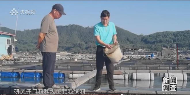 央視《新聞?wù){(diào)查》重磅聚焦，湛江水產(chǎn)養(yǎng)殖“游”向深遠(yuǎn)海
